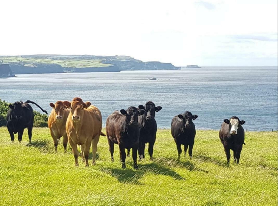 Tornabodagh House Ballycastle Bagian luar foto